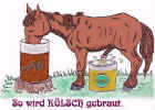 koelsch