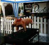 Schwein gehabt